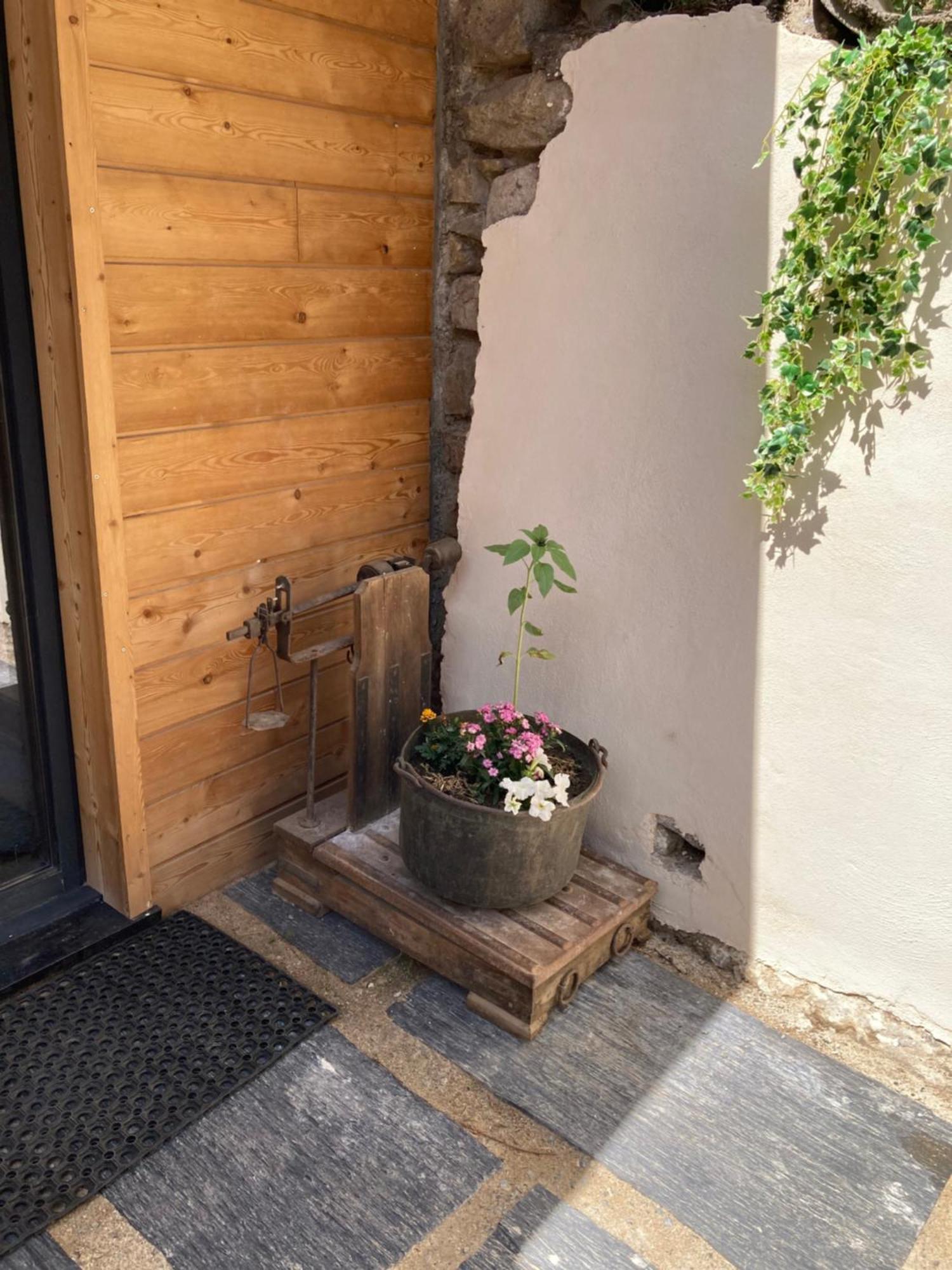 Studio Canellito Le Clos Des Ours Matemale Esterno foto